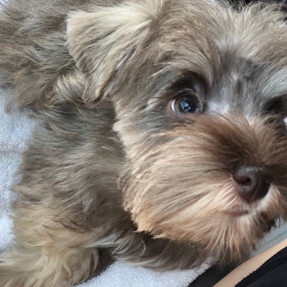 Meet your Posher, Vickie - Picture 2 of 5